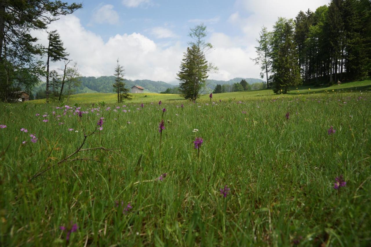 Berghof Voeglerbrand Βίλα Andelsbuch Εξωτερικό φωτογραφία