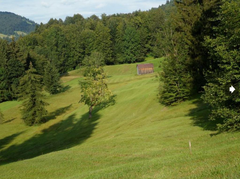 Berghof Voeglerbrand Βίλα Andelsbuch Εξωτερικό φωτογραφία